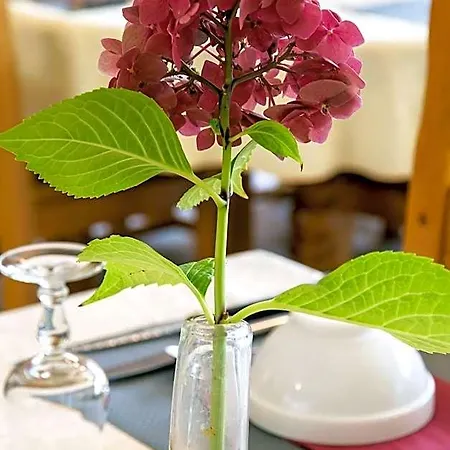 Restaurant Les Touristes Otel Vals-les-Bains