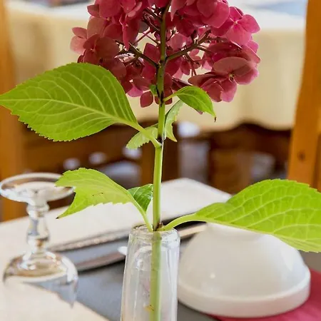 فندق Restaurant Les Touristes 2*